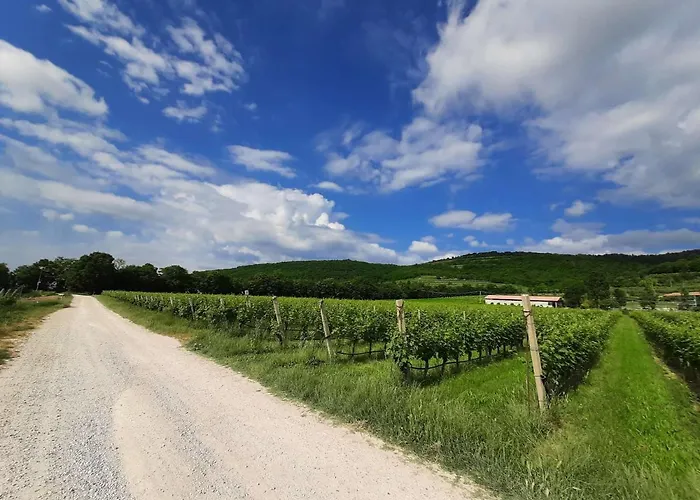 Agriturismo Andreis Alloggi